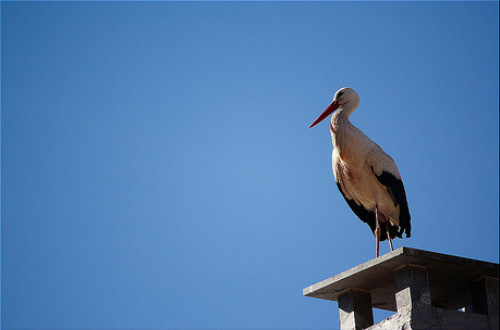 Aguilar+de+campoo+palencia